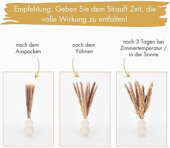 Pampasgras Deko Trocken – 44 cm hoher Strauß