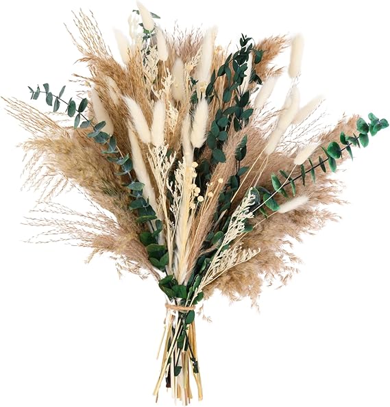 Pampasgras Deko Trocken – 44 cm hoher Strauß