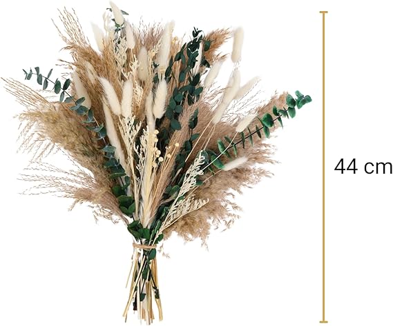 Pampasgras Deko Trocken – 44 cm hoher Strauß